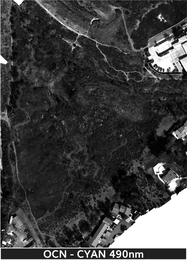 TW-Fire_1-22-2025_2_transparent_mosaic_ocn_web-cyan