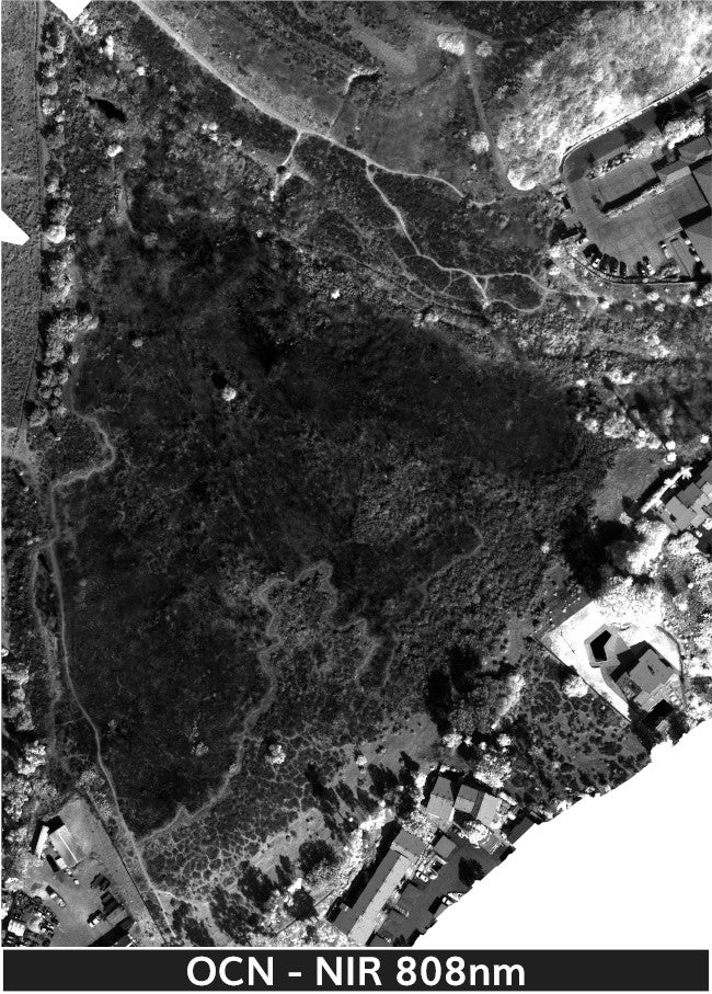 TW-Fire_1-22-2025_2_transparent_mosaic_ocn_web-nir