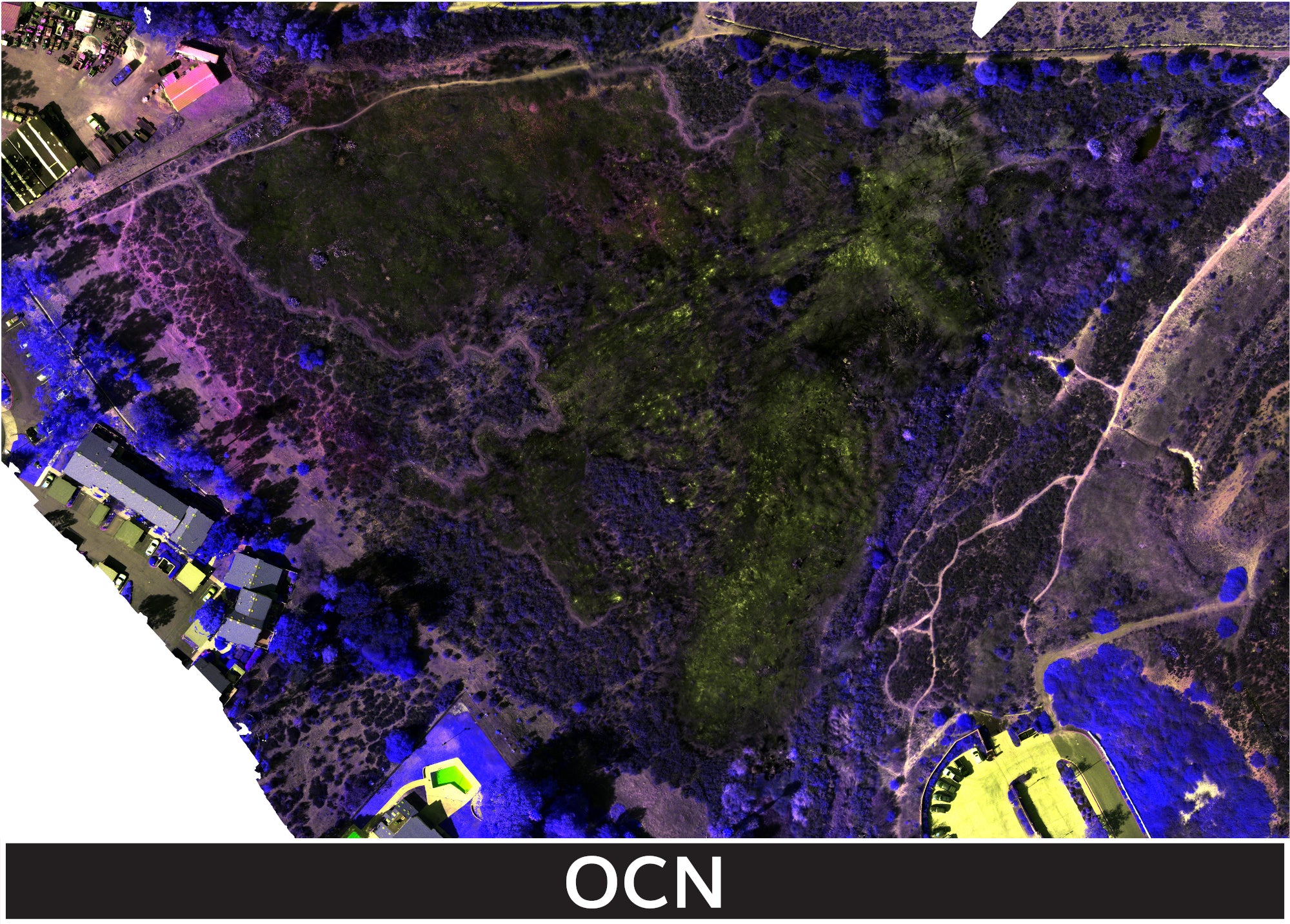 TW-Fire_1-22-2025_2_transparent_mosaic_ocn_web_lrg