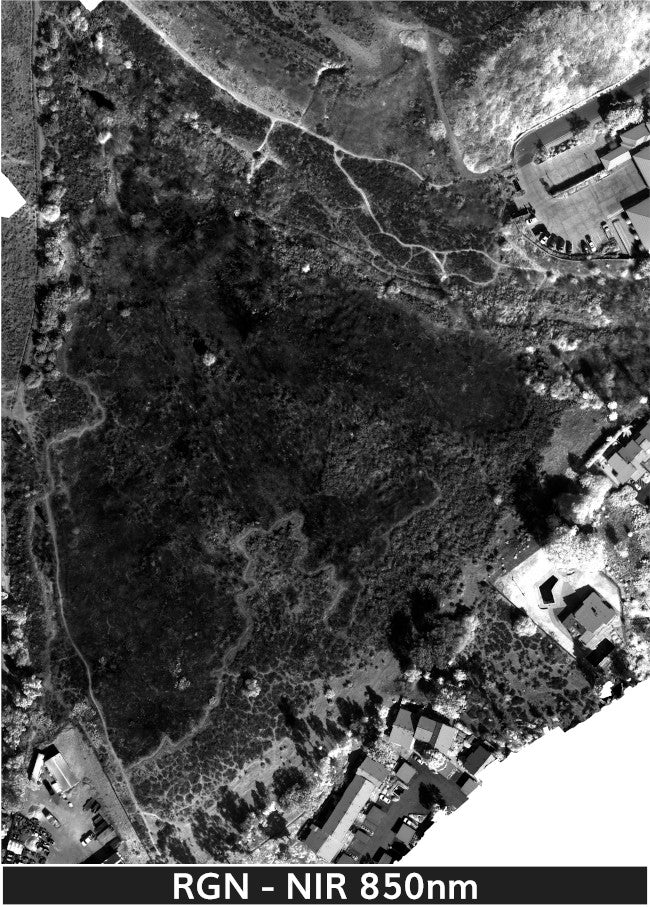 TW-Fire_1-22-2025_2_transparent_mosaic_rgn_web-nir