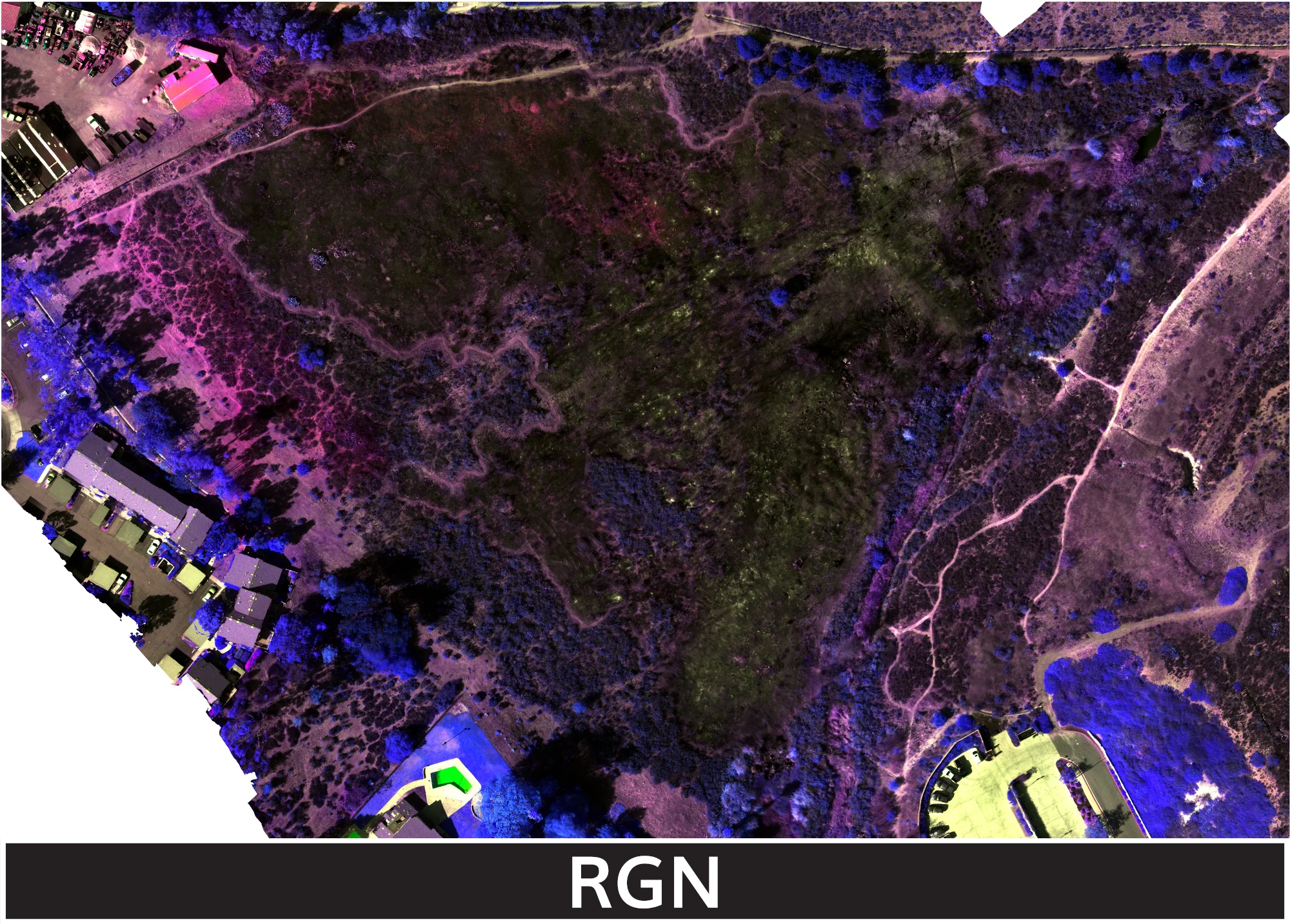 TW-Fire_1-22-2025_2_transparent_mosaic_rgn_web_lrg