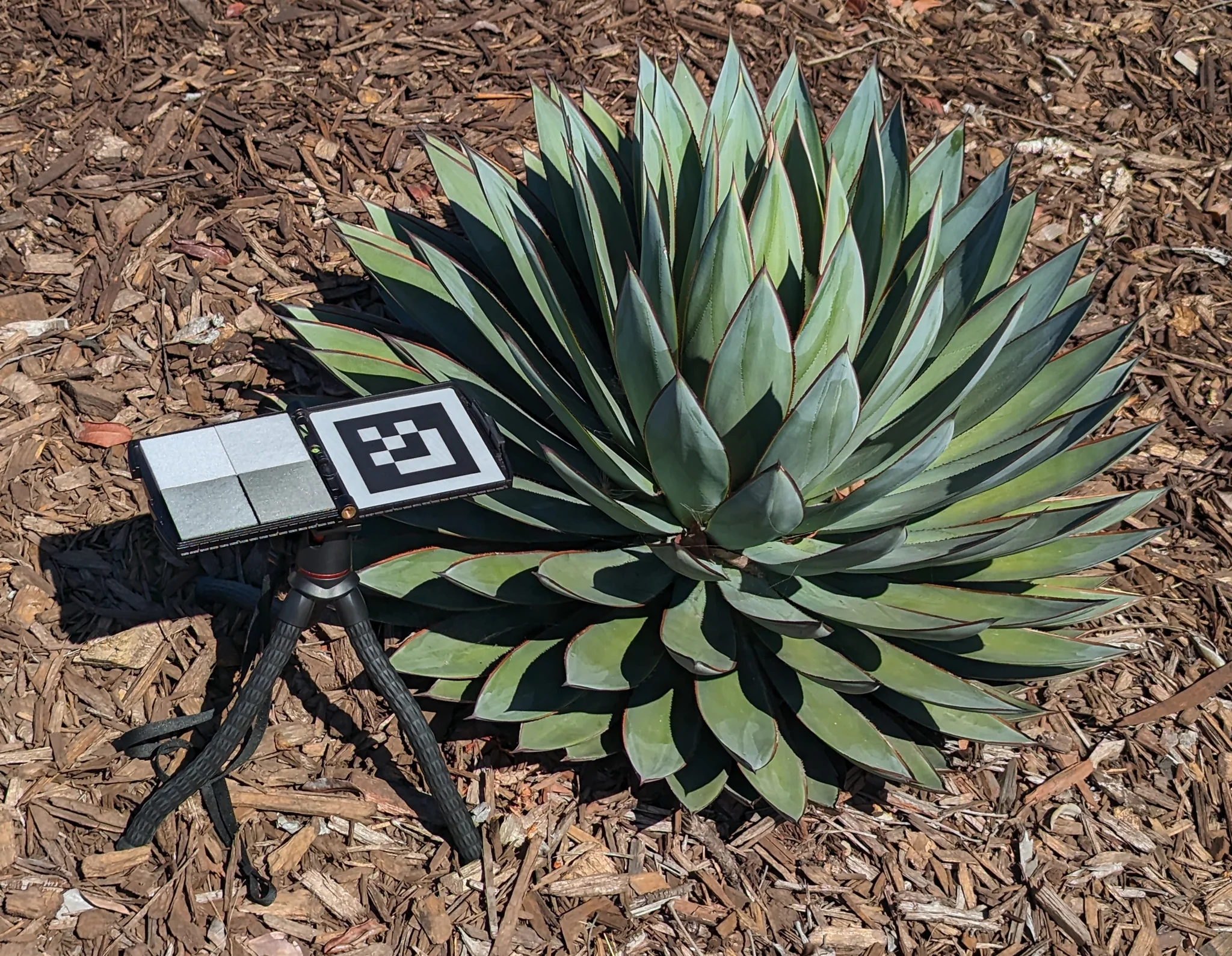 三脚架 – 柔性支臂款 (360度云台,短版,12英寸) - 图片 2